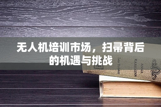 无人机培训市场，扫帚背后的机遇与挑战