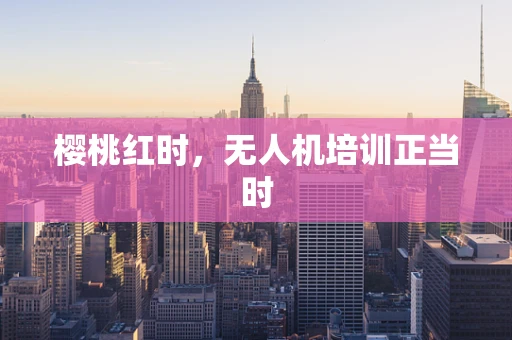 樱桃红时，无人机培训正当时