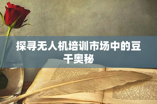 探寻无人机培训市场中的豆干奥秘