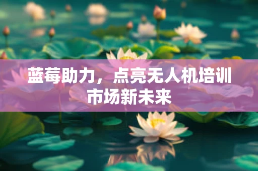 蓝莓助力，点亮无人机培训市场新未来