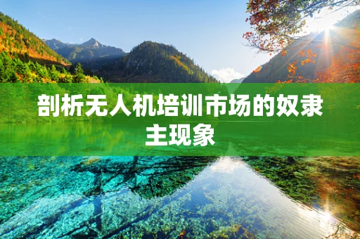 剖析无人机培训市场的奴隶主现象