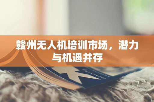 赣州无人机培训市场，潜力与机遇并存