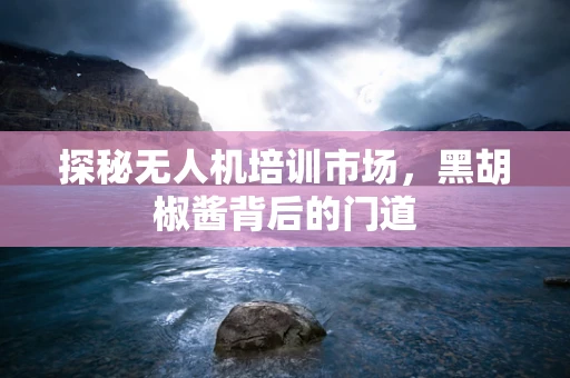 探秘无人机培训市场，黑胡椒酱背后的门道