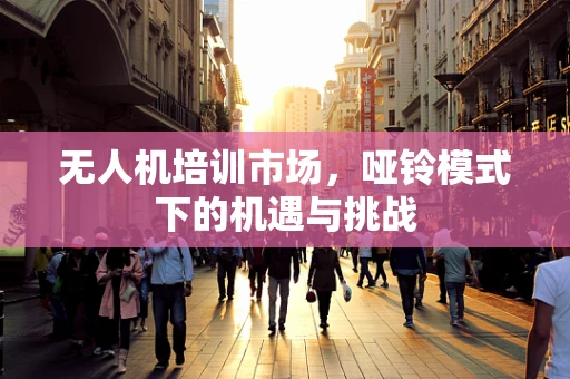 无人机培训市场，哑铃模式下的机遇与挑战