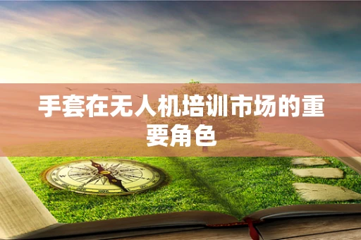 手套在无人机培训市场的重要角色