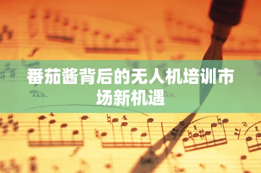 番茄酱背后的无人机培训市场新机遇