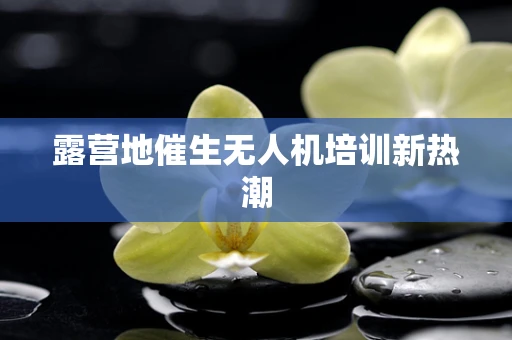 露营地催生无人机培训新热潮
