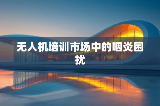 无人机培训市场中的咽炎困扰
