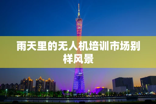 雨天里的无人机培训市场别样风景
