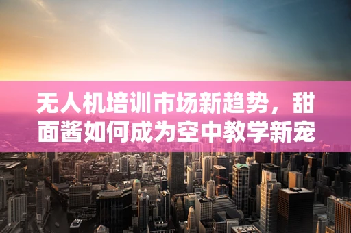 无人机培训市场新趋势，甜面酱如何成为空中教学新宠？