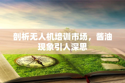 剖析无人机培训市场，酱油现象引人深思