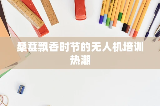桑葚飘香时节的无人机培训热潮