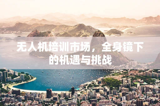 无人机培训市场，全身镜下的机遇与挑战