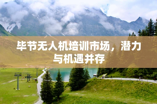 毕节无人机培训市场，潜力与机遇并存