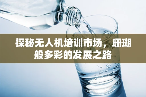 探秘无人机培训市场，珊瑚般多彩的发展之路