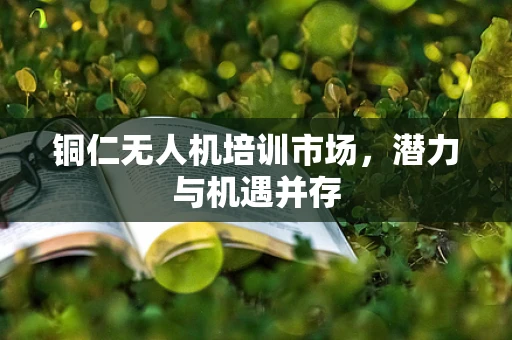 铜仁无人机培训市场，潜力与机遇并存