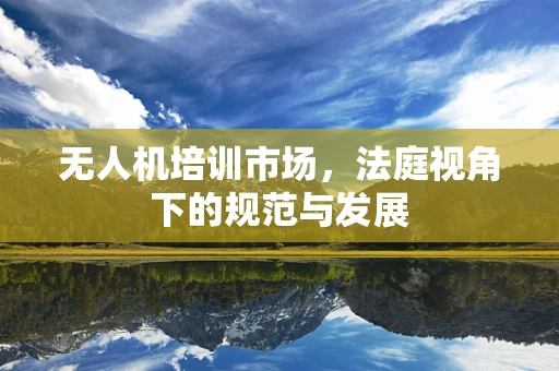 无人机培训市场，法庭视角下的规范与发展