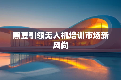 黑豆引领无人机培训市场新风尚
