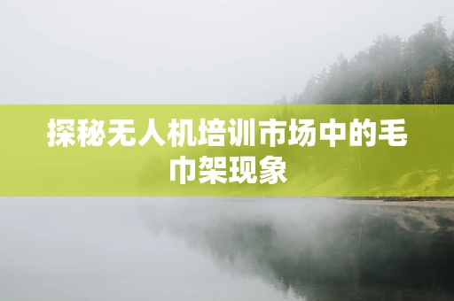 探秘无人机培训市场中的毛巾架现象