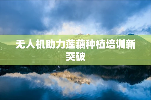 无人机助力莲藕种植培训新突破