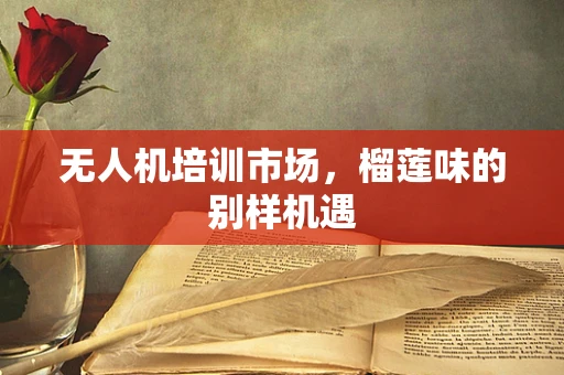 无人机培训市场，榴莲味的别样机遇