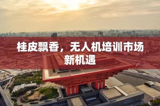 桂皮飘香，无人机培训市场新机遇