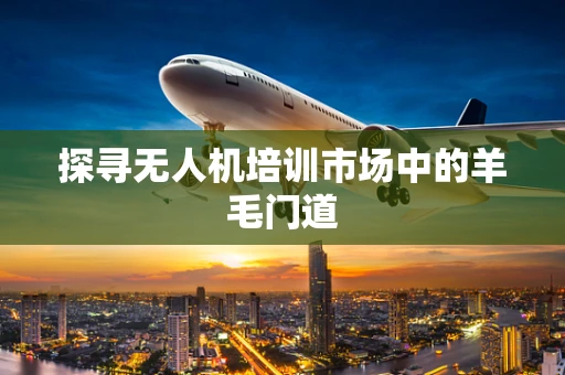 探寻无人机培训市场中的羊毛门道
