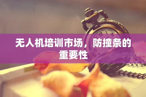 无人机培训市场，防撞条的重要性