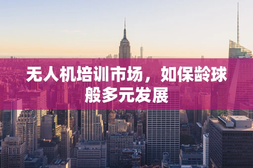 无人机培训市场，如保龄球般多元发展