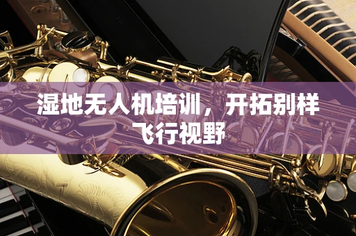 湿地无人机培训，开拓别样飞行视野
