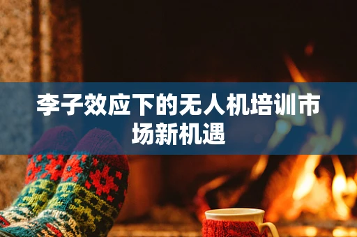 李子效应下的无人机培训市场新机遇