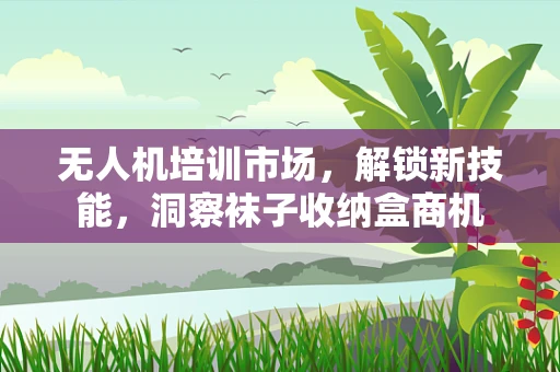 无人机培训市场，解锁新技能，洞察袜子收纳盒商机