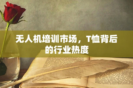 无人机培训市场，T恤背后的行业热度