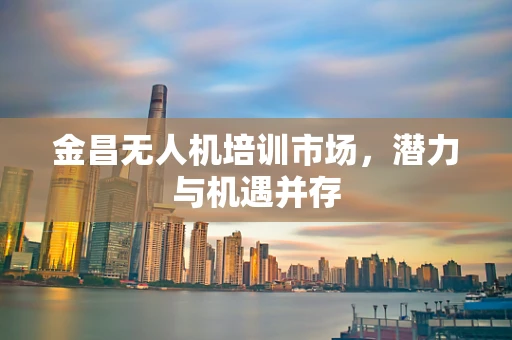 金昌无人机培训市场，潜力与机遇并存