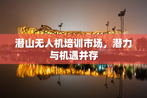 潜山无人机培训市场，潜力与机遇并存