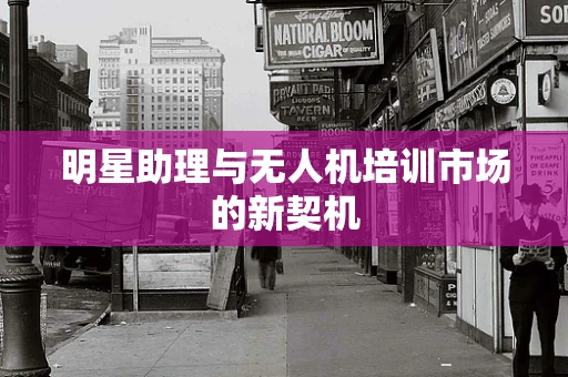 明星助理与无人机培训市场的新契机