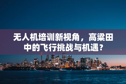 无人机培训新视角，高粱田中的飞行挑战与机遇？