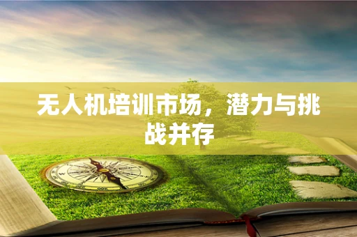无人机培训市场，潜力与挑战并存