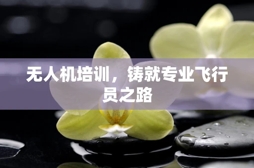 无人机培训，铸就专业飞行员之路