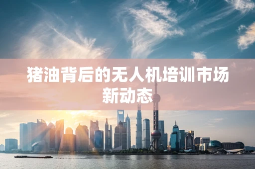 猪油背后的无人机培训市场新动态