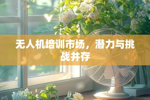 无人机培训市场，潜力与挑战并存