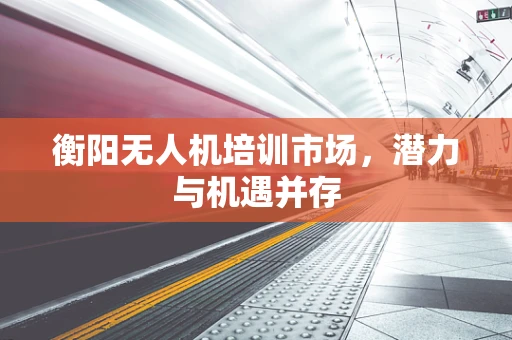 衡阳无人机培训市场，潜力与机遇并存