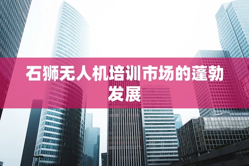 石狮无人机培训市场的蓬勃发展