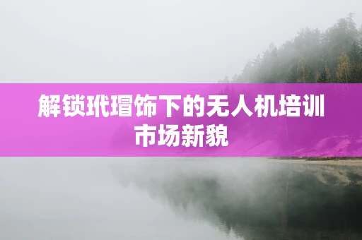 解锁玳瑁饰下的无人机培训市场新貌
