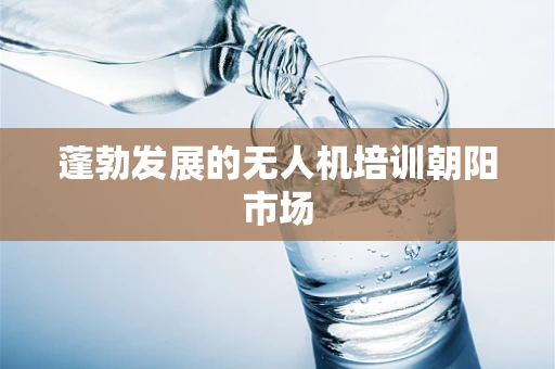 蓬勃发展的无人机培训朝阳市场