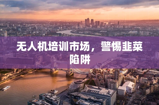 无人机培训市场，警惕韭菜陷阱