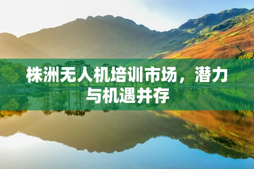 株洲无人机培训市场，潜力与机遇并存