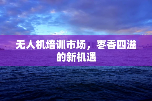 无人机培训市场，枣香四溢的新机遇