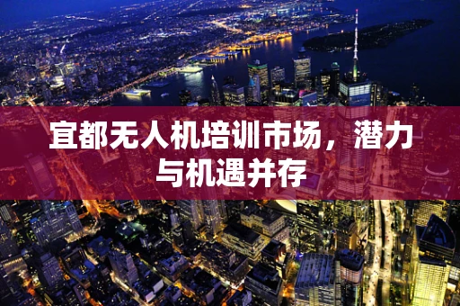 宜都无人机培训市场，潜力与机遇并存