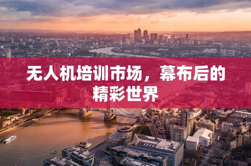无人机培训市场，幕布后的精彩世界